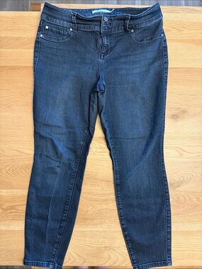 torrid Indigo Stretch Skinny Jeans
